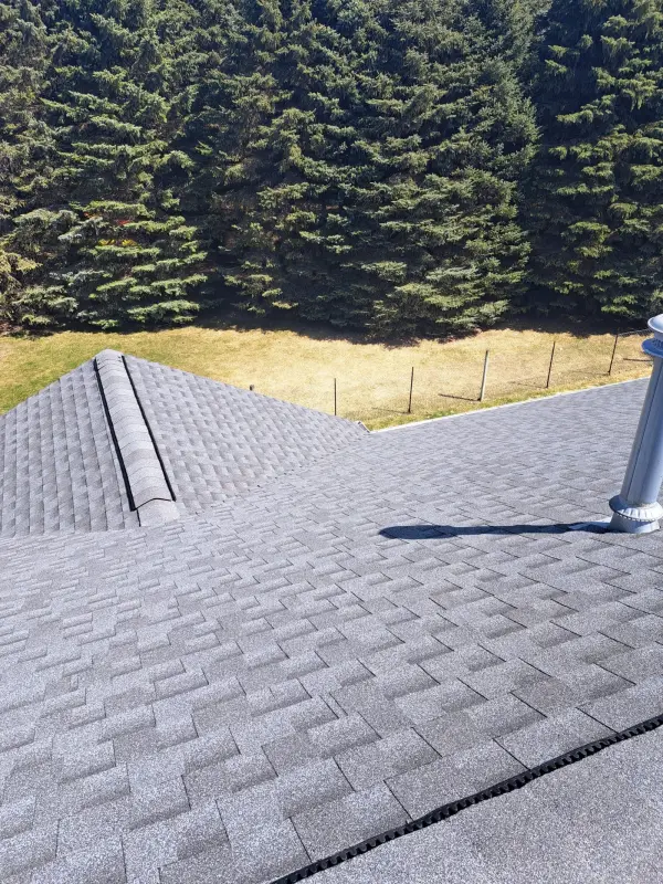 Reliable Roofing project, April 10, 2023